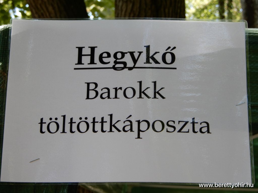 berettyóújfalu az esterházy barokk ételfőző fesztiválon 25